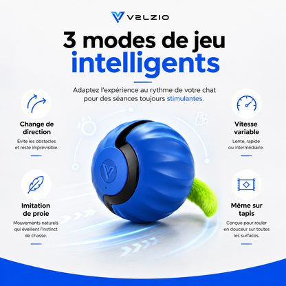 VELZIO Chase™ — Balle interactive pour chat