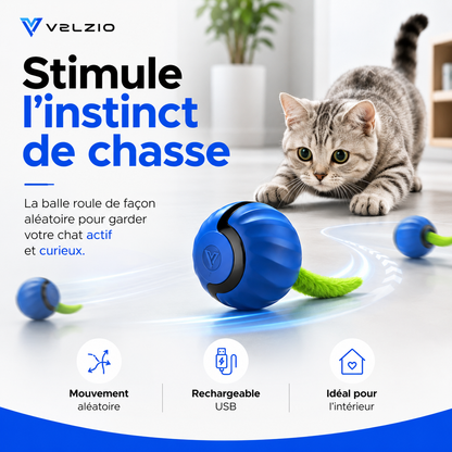 VELZIO Chase™ — Balle interactive pour chat